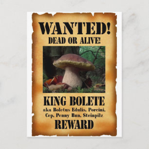 Carte Postale Le roi Bolete - Recherché mort ou vivant