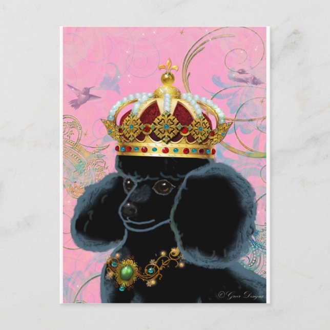 Carte Postale Le roi de caniche noir avec couronne (Devant)