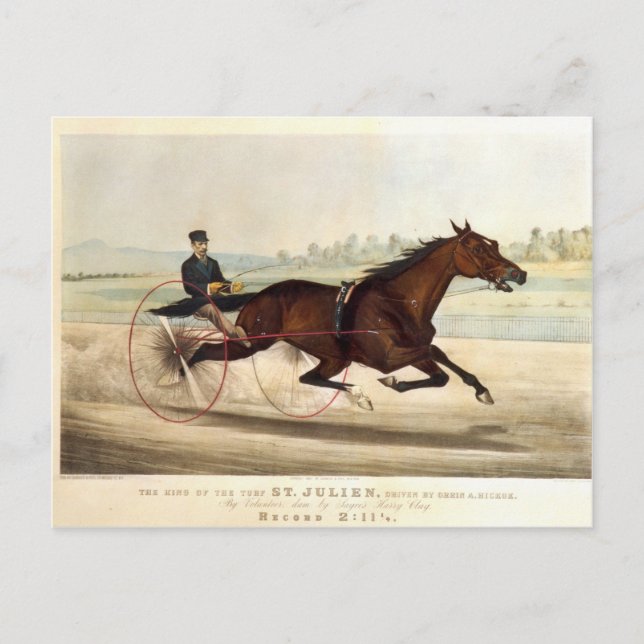 Carte Postale Le Roi du Turf, 'St. Julien' (Devant)