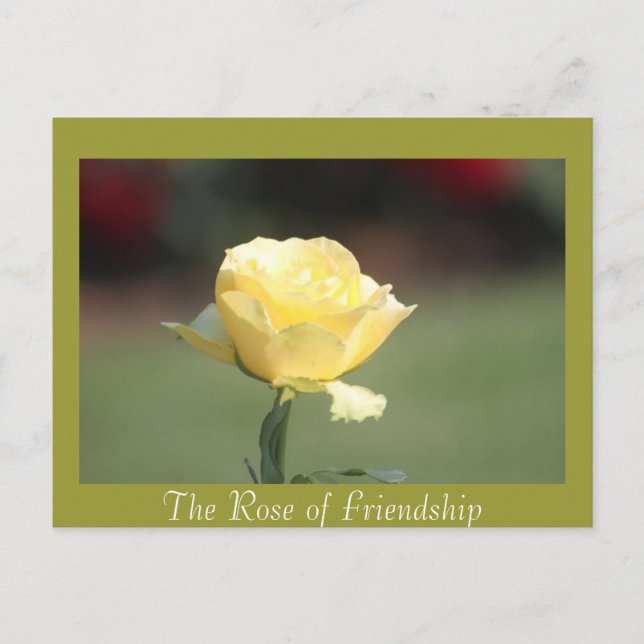 Carte Postale Le Rose de l'amitié (Devant)