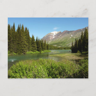 Carte Postale Le ruisseau Grinnell au parc national Glacier