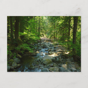 Carte Postale Le ruisseau Laughwater au parc national Mount Rain
