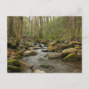 Carte Postale Le ruisseau Le Conte dans les montagnes Great Smok