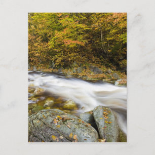 Carte Postale Le ruisseau Roaring en automne dans le vert du Ver