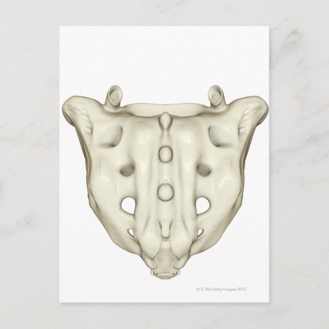 Carte Postale Le Sacrum (Devant)