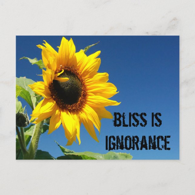 Carte Postale Le secret du bonheur est l'ignorance totale (Devant)