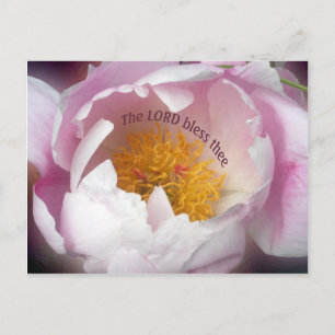 Carte Postale Le Seigneur bénisse Thé