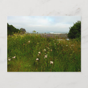 Carte Postale Le sentier de la boucle Yurok au parc national Red