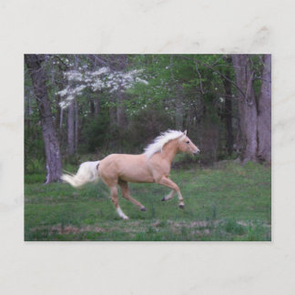 Carte Postale Le soin libèrent