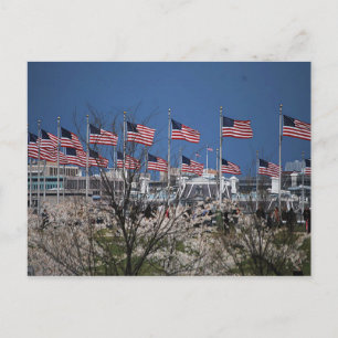 Carte Postale Le souffle des drapeaux sur les fonds propres