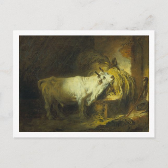 Carte Postale Le taureau blanc dans la stabilité (huile sur toil (Devant)