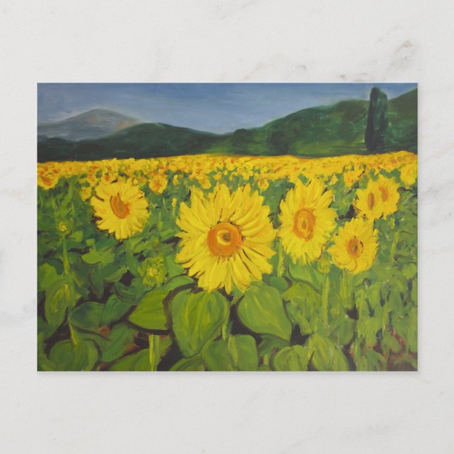 Carte Postale Le terrain de tournesol (Devant)