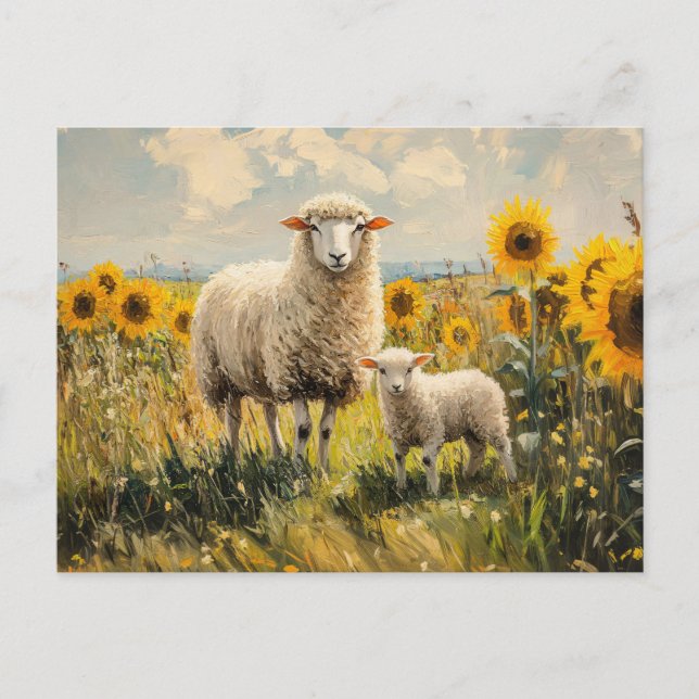 Carte Postale Le terrain de tournesol mouton et agneau (Devant)