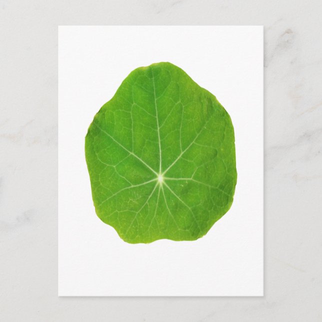 Carte Postale Le vert de soutien, sauvent la planète (Devant)