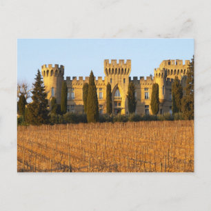 Carte Postale Le vignoble avec des vignes de syrah et le château