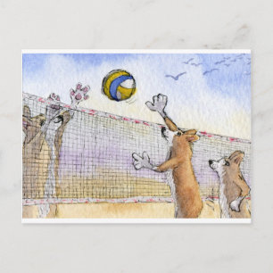 Carte Postale Le volley-ball de plage de Chien Corgi