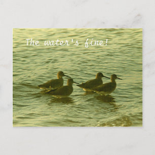 Carte postale - Le Water'F bien !