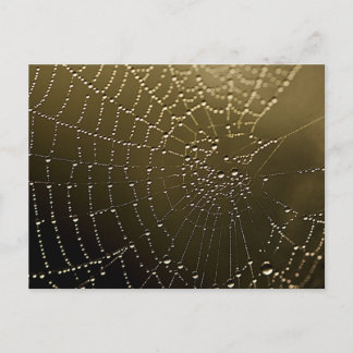 Carte Postale Le Web