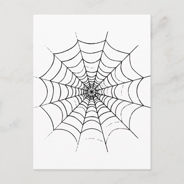 Carte Postale Le Web d'un simple araignée (Devant)
