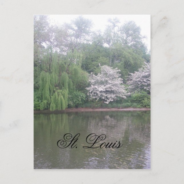 Carte Postale Le zoo de Saint-louis (Devant)