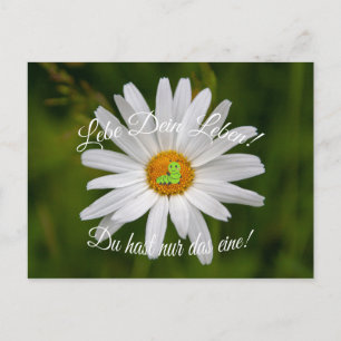 Carte Postale Lebe Dein Leben ! Du hast nur das eine!