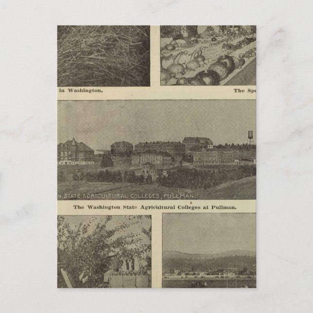 Carte Postale L'économie versatile de Washington (Devant)