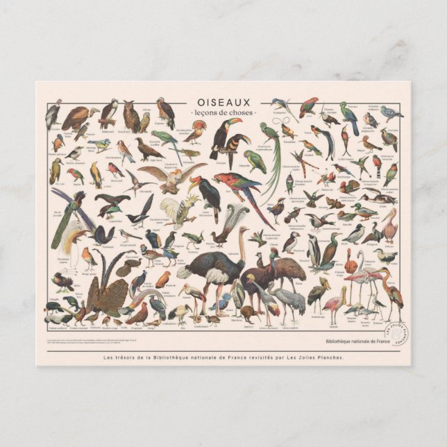 Carte Postale Leçons de (Devant)