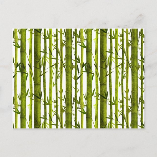 Carte Postale Leçons de bambou (Devant)