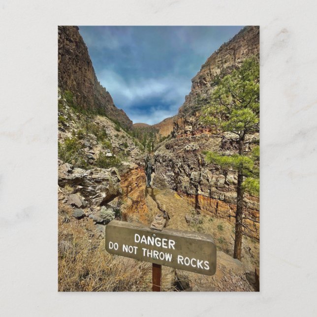 Carte Postale leçons de vie (Devant)