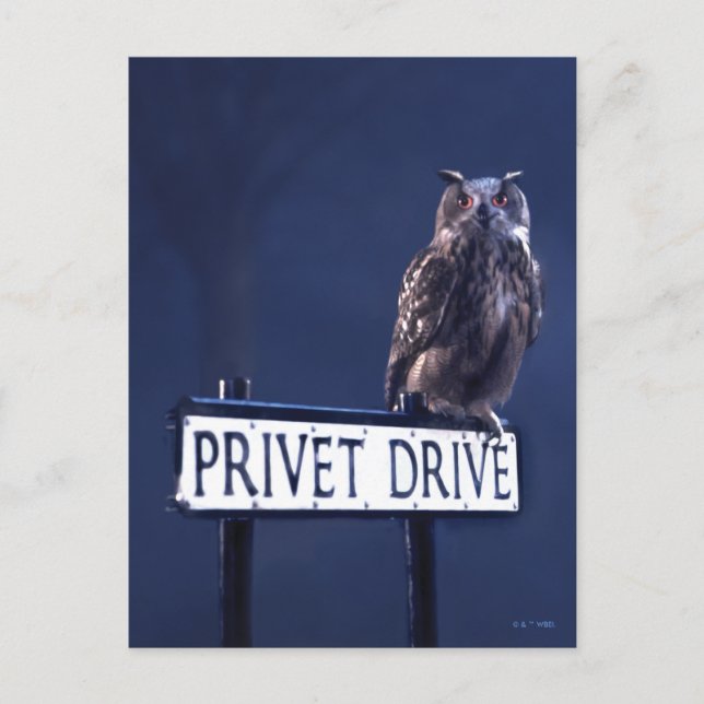 Carte Postale Lecteur privé (Devant)