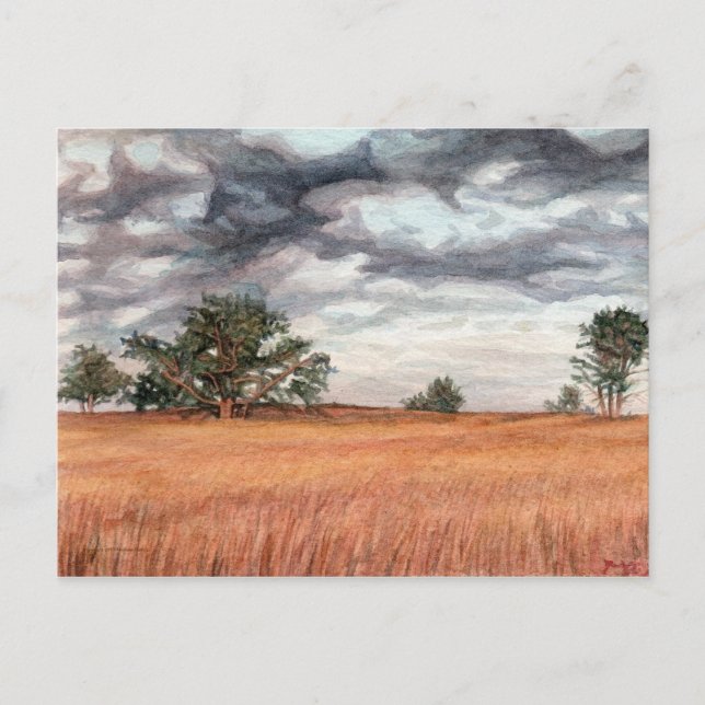 Carte Postale Lecteur Skyline Big Meadow (Devant)