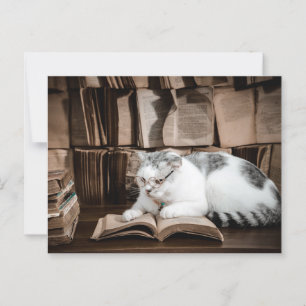 Carte Postale Lecture de chats en lunettes