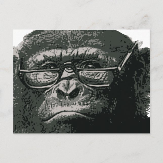 Carte Postale Lecture de Chimp (Devant)