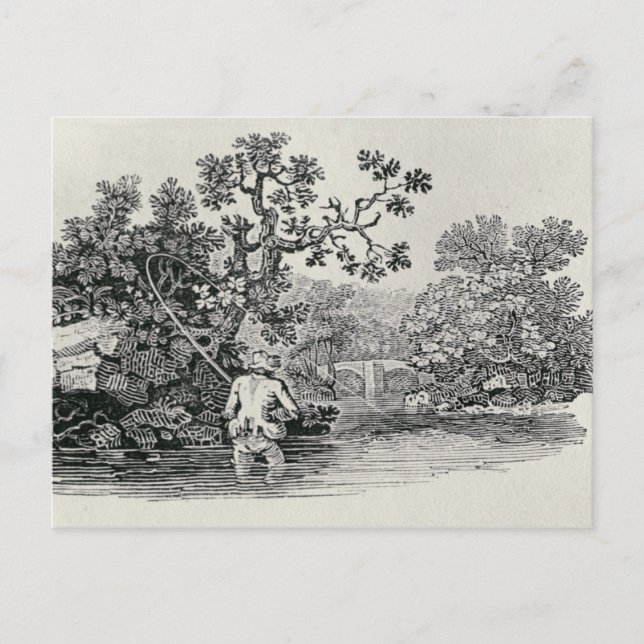 Carte Postale Lecture d'un Saumon (Devant)