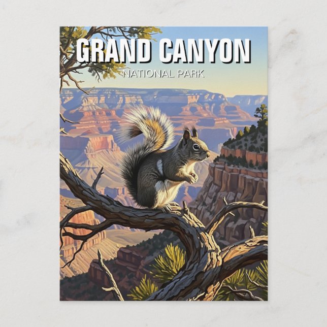 Carte Postale L'écureuil de Kaibab dans le parc national du Gran (Devant)