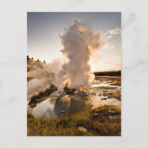 Carte Postale Ledge Geyser, bassin de Norris Geyser