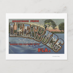 Carte Postale Leesburg, Floride - Scènes de grandes lettres