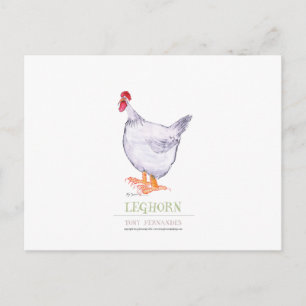 Carte Postale LEGHORN HEN, tony fernandes