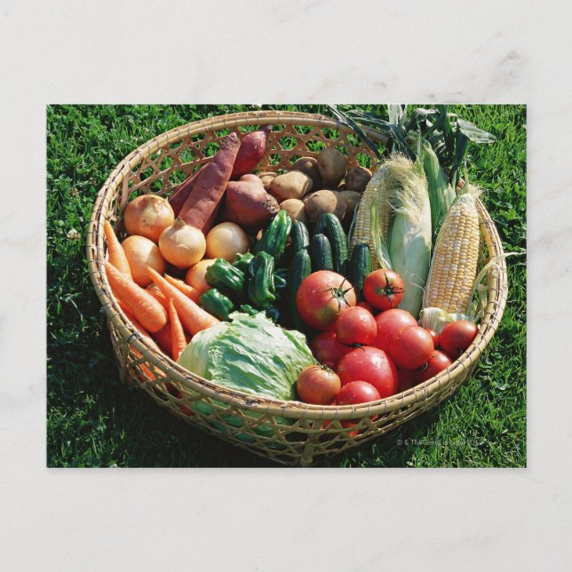 Carte Postale Légumes 5 (Devant)