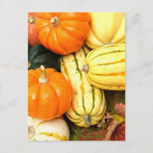 Carte Postale Légumes d'automne