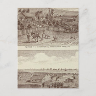 Carte Postale Lemoore, Armona ranches 2