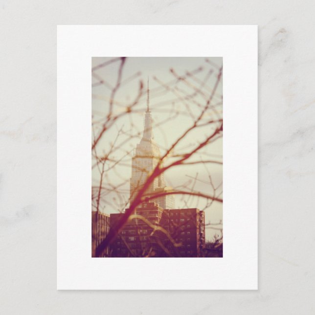 Carte Postale L'Empire State Building, New York (Devant)