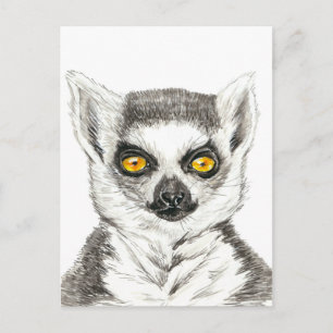 Carte Postale Lemur
