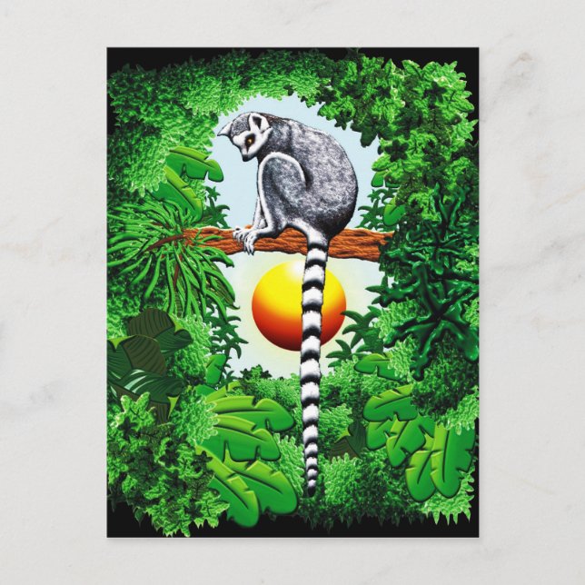 Carte Postale Lémur de Madagascar (Devant)
