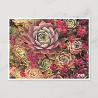 Carte postale Lena J Édition spéciale