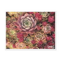 Carte postale Lena J Édition spéciale