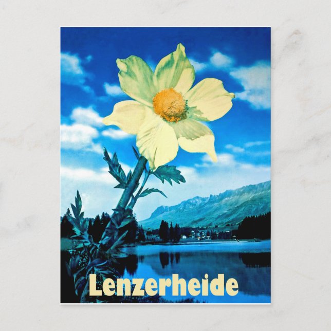 Carte Postale Lenzerheide, Suisse, fleur d'été sur le lac (Devant)
