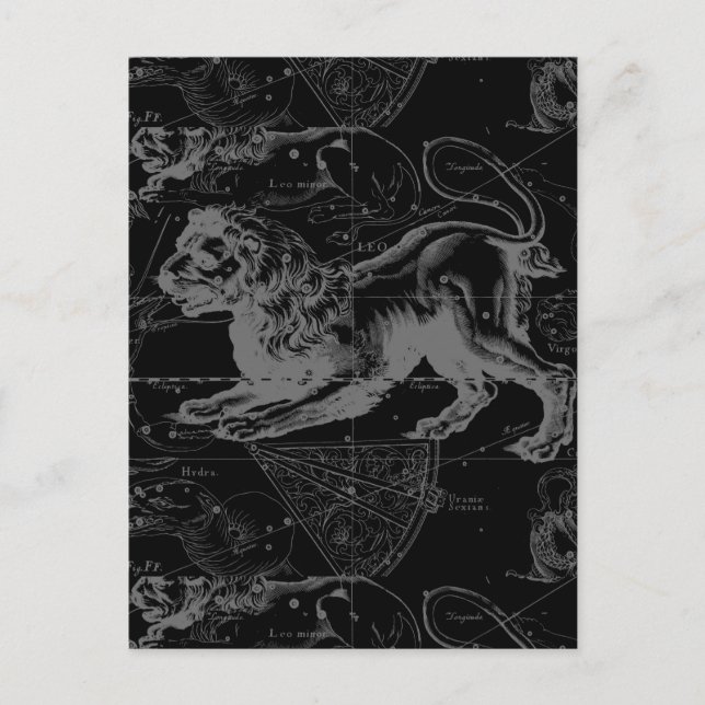 Carte Postale Leo Constellation Hevelius 1690 Décor (Devant)