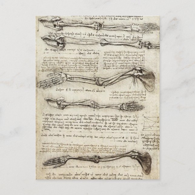 Carte Postale Léonard de Vinci - Etudes de l'Arme (Devant)