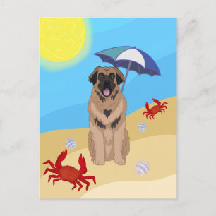 Carte Postale Leonberger Beach